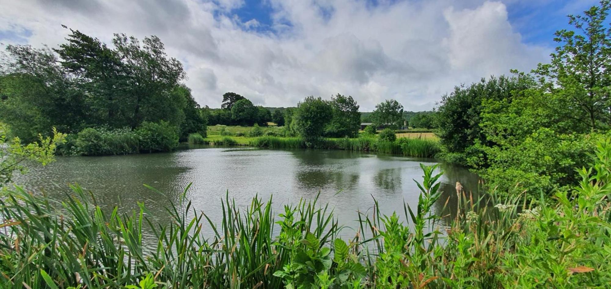 The Victorian Barn, Self-Catering Holidays With Pool And Hot Tubs, Dorset Woolland Exterior photo